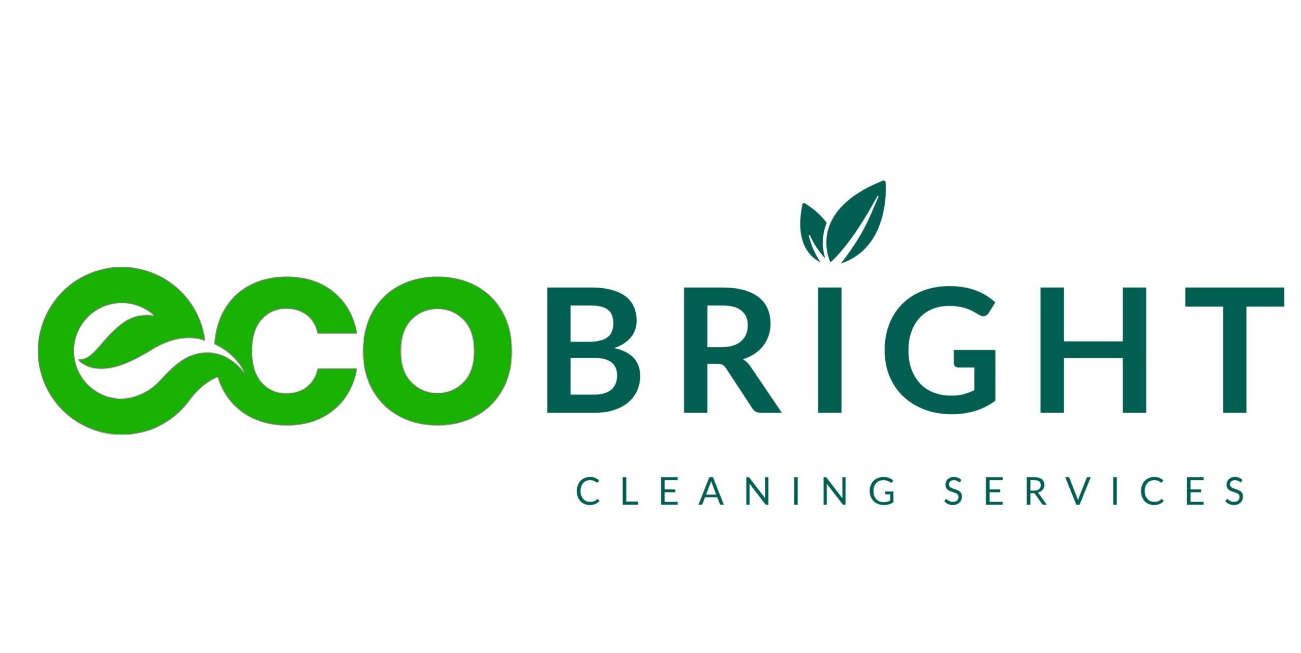 eco bright cleaning services near federal way, auburn, kent, des moines wa, tacoma cleaners